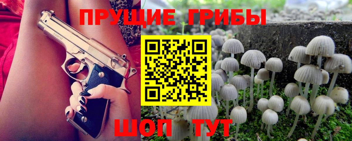 Псилоцибиновые грибы Psilocybine cubensis  Вход с VPN  Бугуруслан 